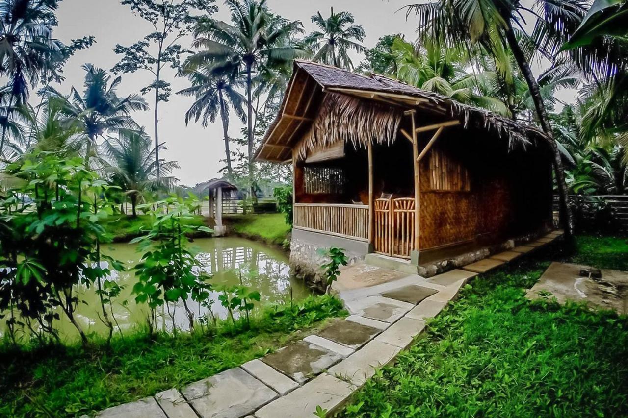 Hotel Baleku Bamboo Retreat à Pangandaran Extérieur photo